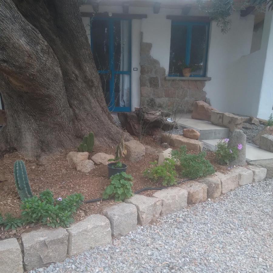 Sole In Ogliastra Panzió Jerzu Kültér fotó