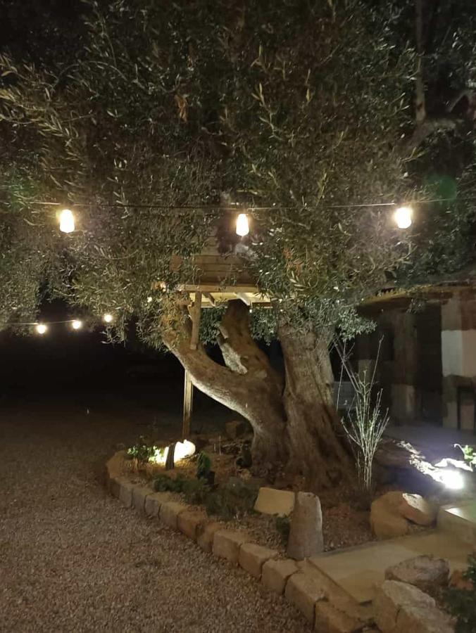 Sole In Ogliastra Panzió Jerzu Kültér fotó
