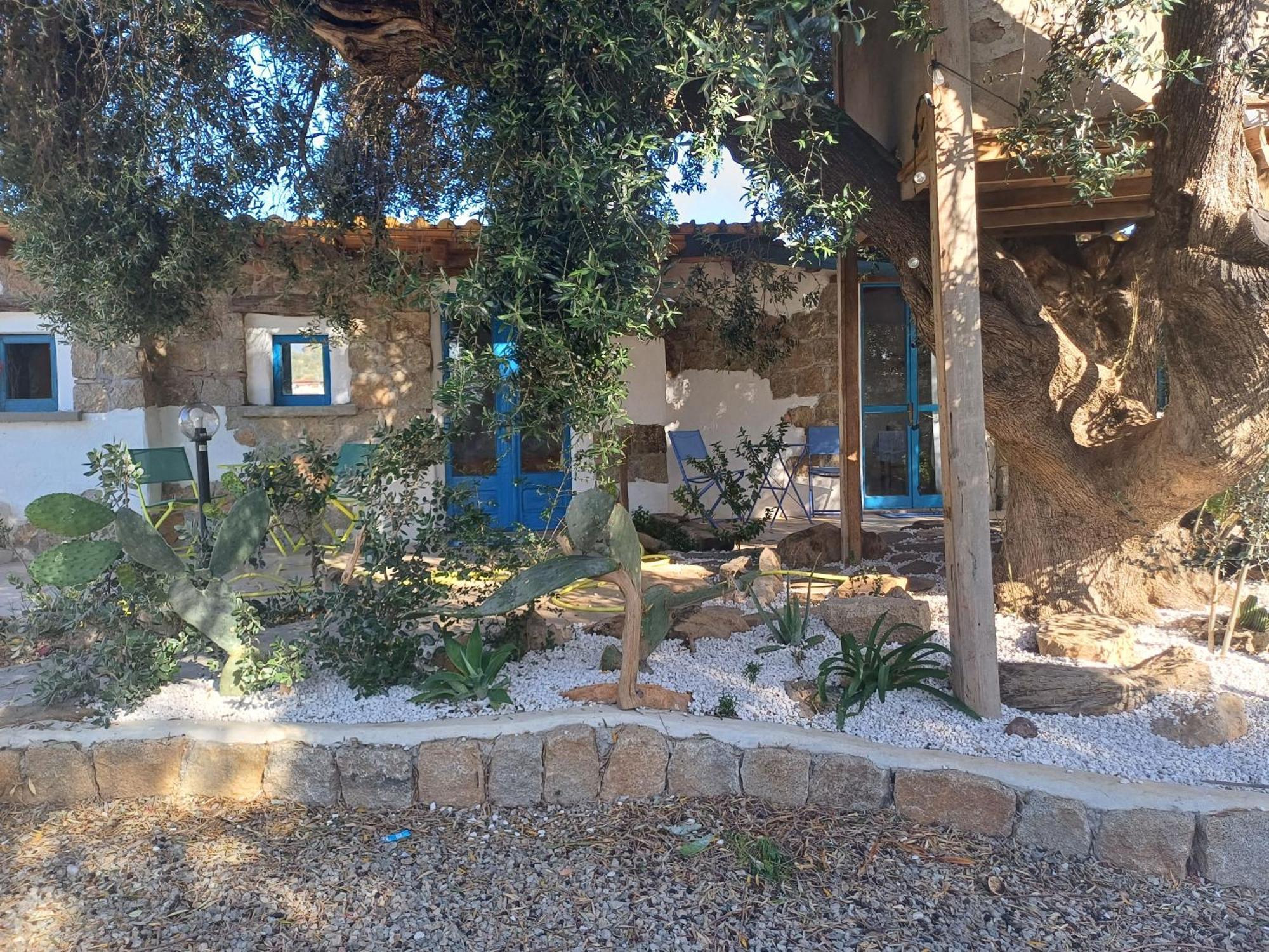 Sole In Ogliastra Panzió Jerzu Szoba fotó